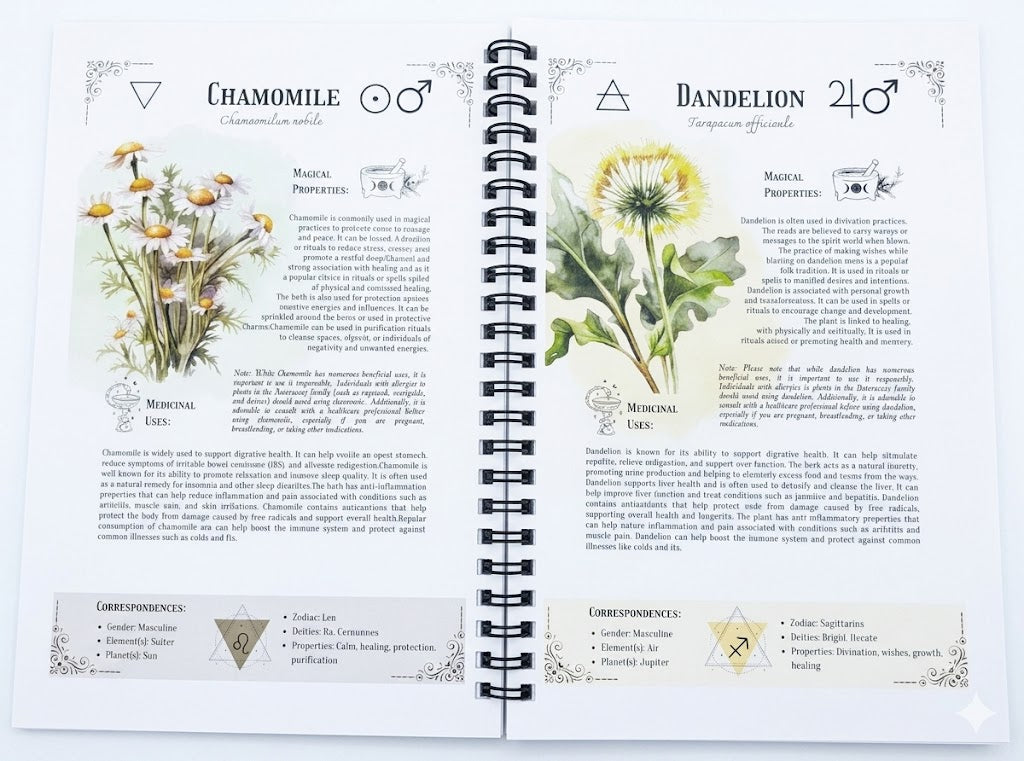 Witch’s Herbal Codex: A Botanical Grimoire