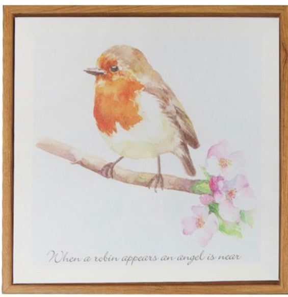 Canvas - Robin