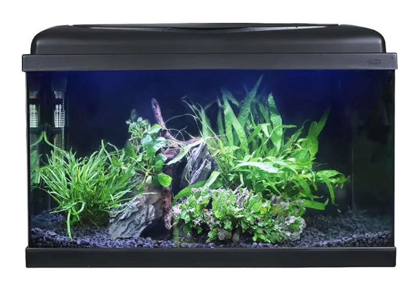 Swell Aquarium 60cm Tropical Freshwater LED Fish Tank Kit 54ltrs