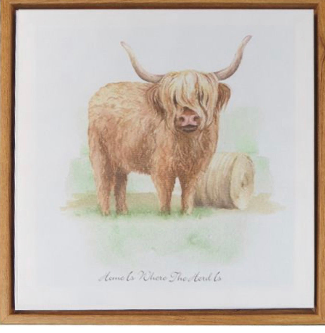 Canvas - Highland Cow