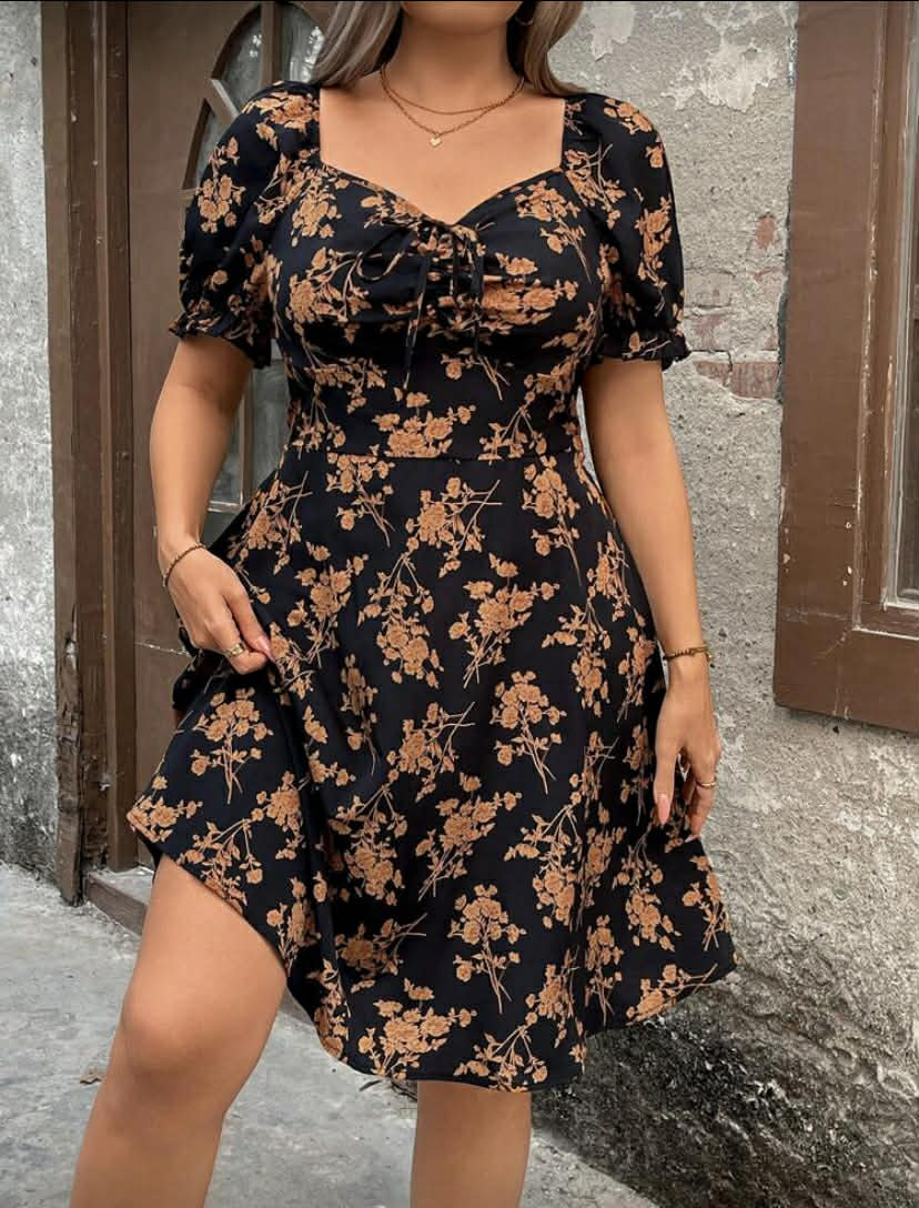 DreamSkyne Plus Size Women Floral Print V-Neck Short Sleeve Knee-Length Dress