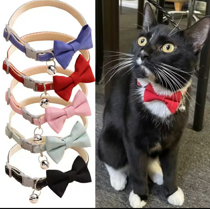 Bow Collar Solid Color Bowknot Puppy
X1