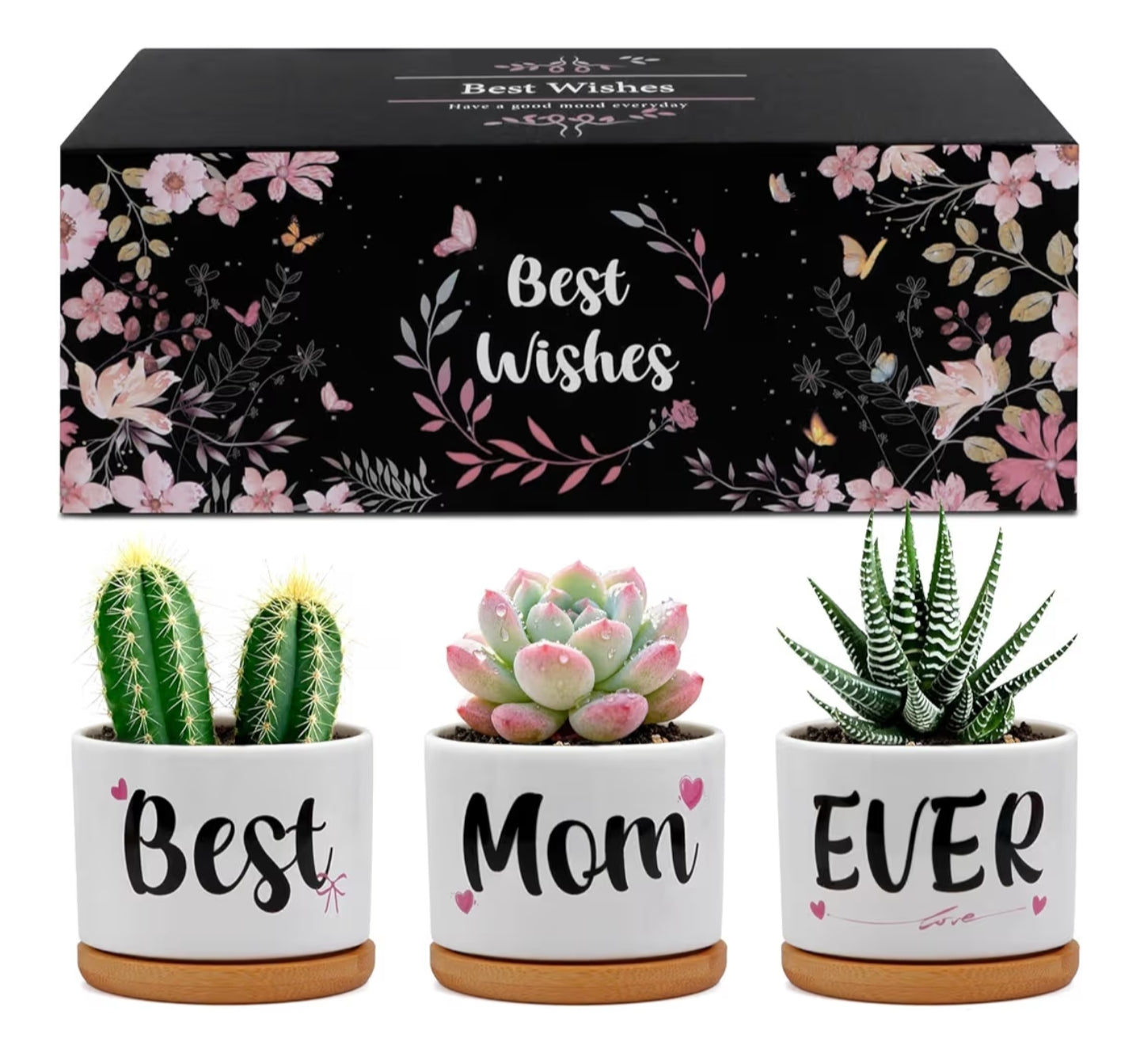 Unique Best Mom Ever Ceramic Succulent Pots