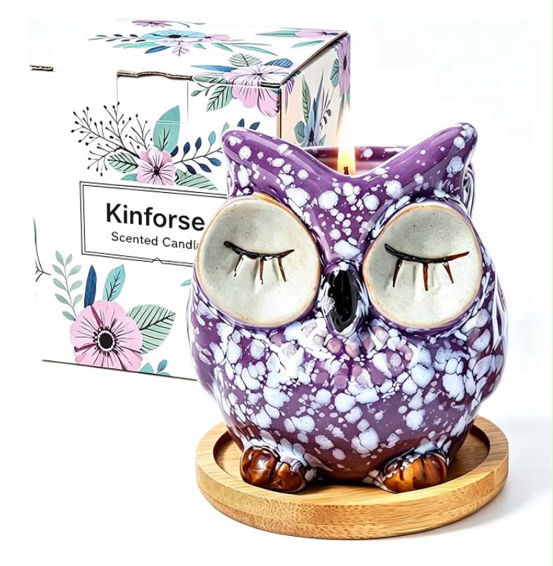 Scented Candles Gifts for Women, Owl Design Lavender Candle
Natural Soy Wax, 30+ Hours Clean Burning, Aromatherapy