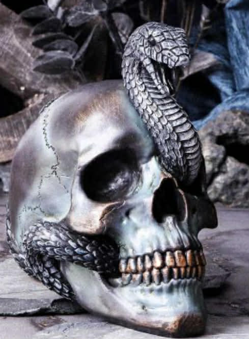 Serpentine Fate Gothic Snake Skull 19 cm