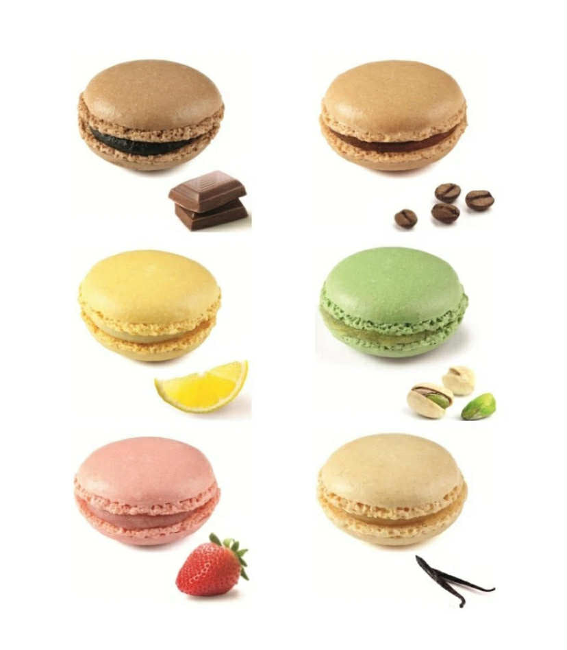 Mixed Flavours Macarons de Pauline Gift Box d'Haubry (Pack of 12)