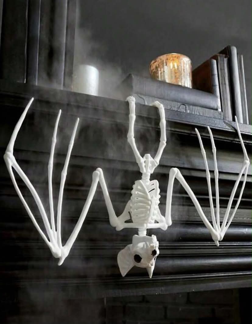 Realistic Bat Skeleton And Scary Bat Skull - Haunted House Party Atmosphere Props, Home Hanging Decor