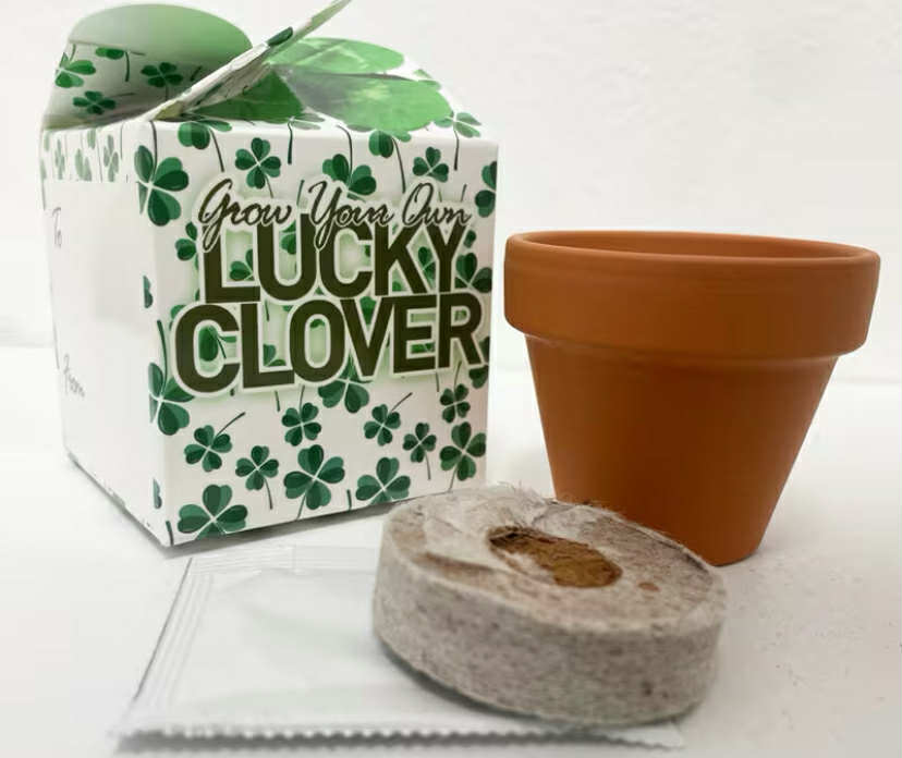 Grow Your Own Lucky Clover Mini Box Kits Teacher Thank You