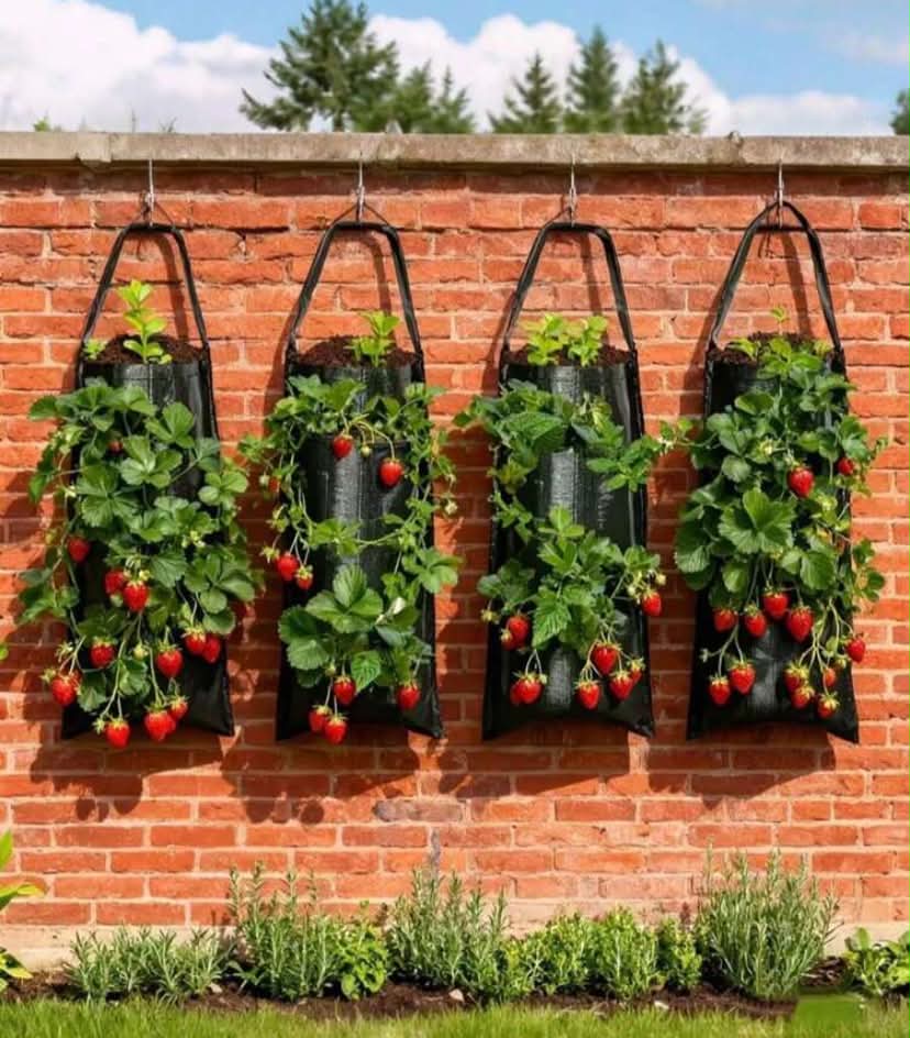 10 Holes Tomato Planter, Hanging Planting Bag For Strawberry. Strawberry, Tomato, Potato And Vegetable Planting Bags (2pcs*4pcs Optional), 1pc Hanging Planter, Can Grow Fruits, Herbs, Flowers, UV Treated, Green Color, 8 Planting Holes