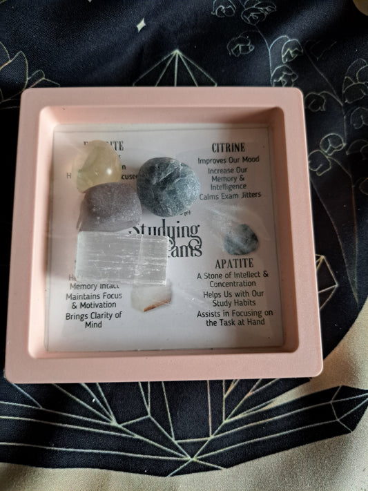 Manifestation Box's Studying Exams (Pink)