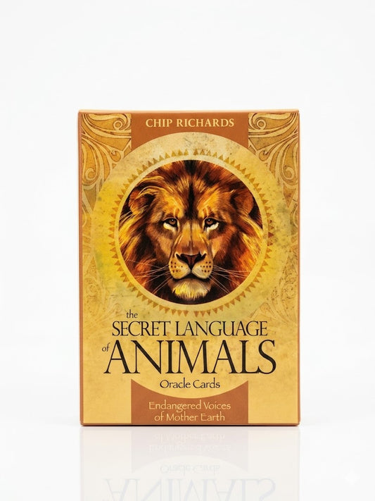 The Secret Language of Animals Oracle Cards