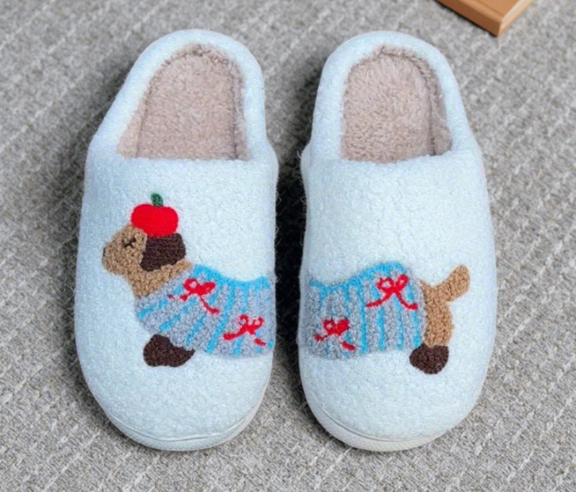 Ladies slippers
