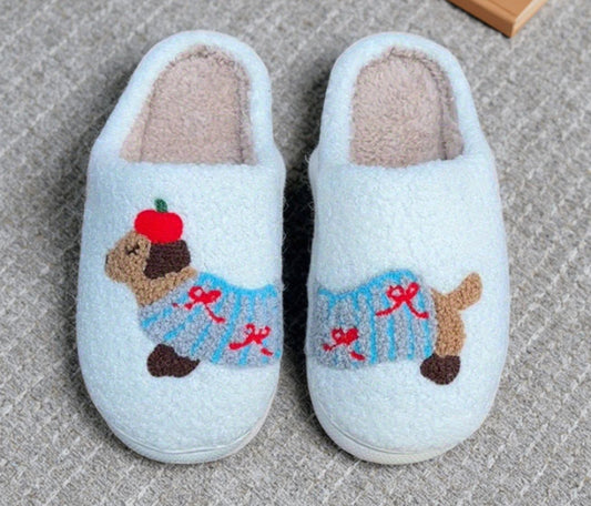 Ladies slippers