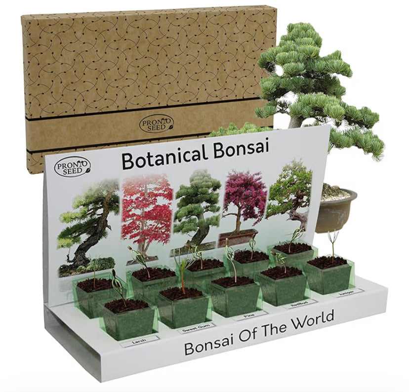 Pronto Seed Grow Your Own Bonsai Tree Kit with 5 Seed Varieties - Indoor Growing Set with Sustainable Packaging Display - Gift for Women, Men - Beginner-Friendly