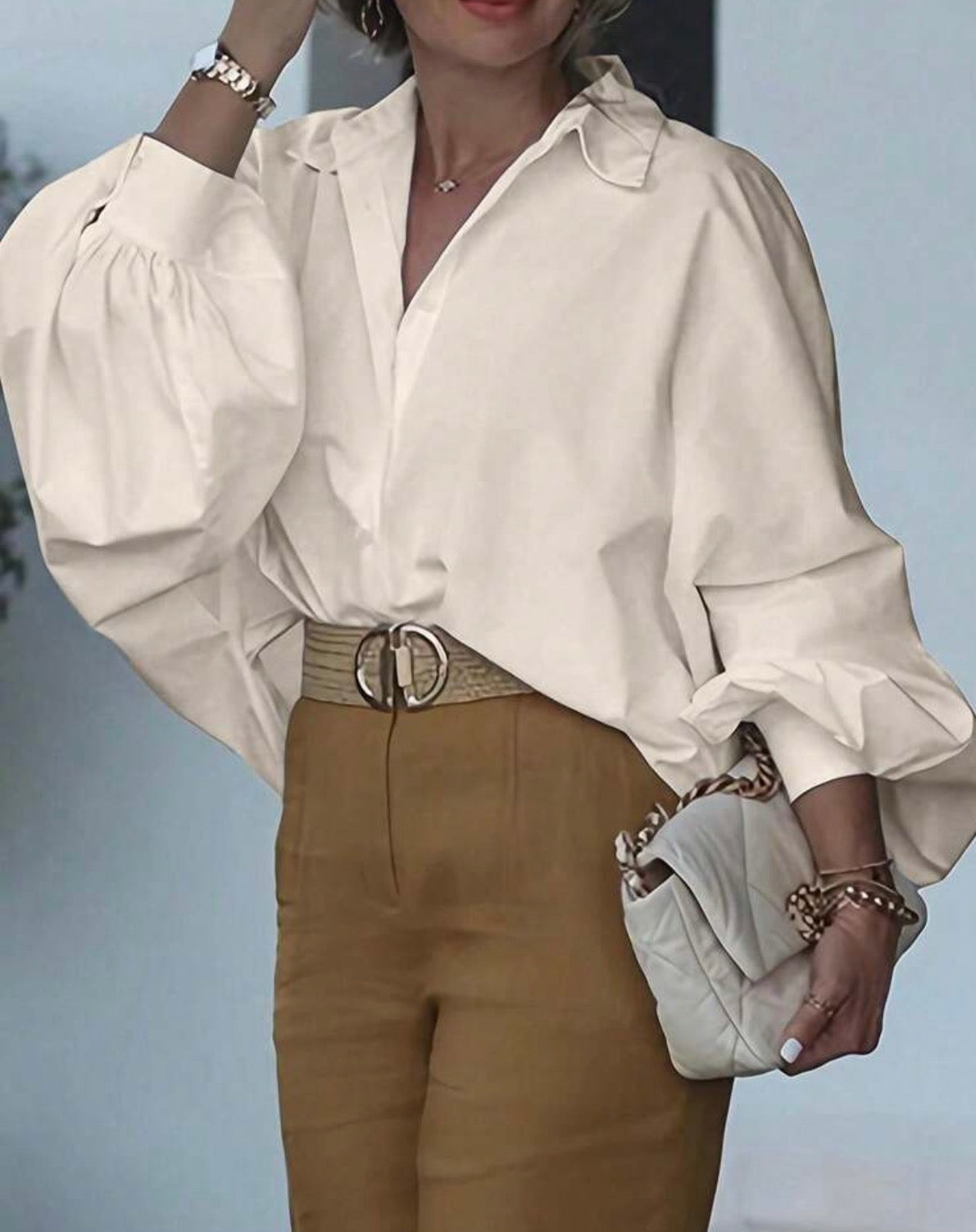 Woven Lantern Sleeve Long Sleeve Elegant