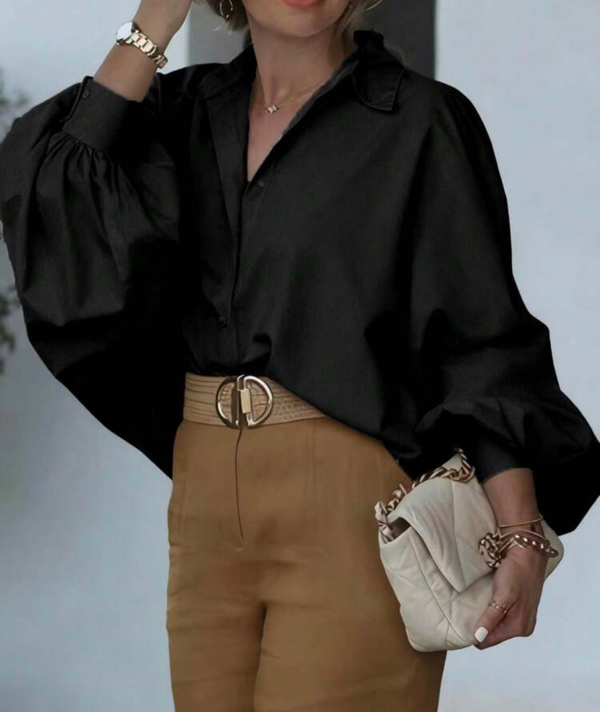 Woven Lantern Sleeve Long Sleeve Elegant