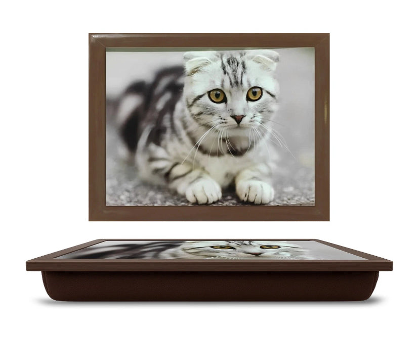 CUSHIONED LAPTRAYS LAP TRAY TV DINNER BEAN BAG PADDED CUSHION GIFT MANY DESIGNS