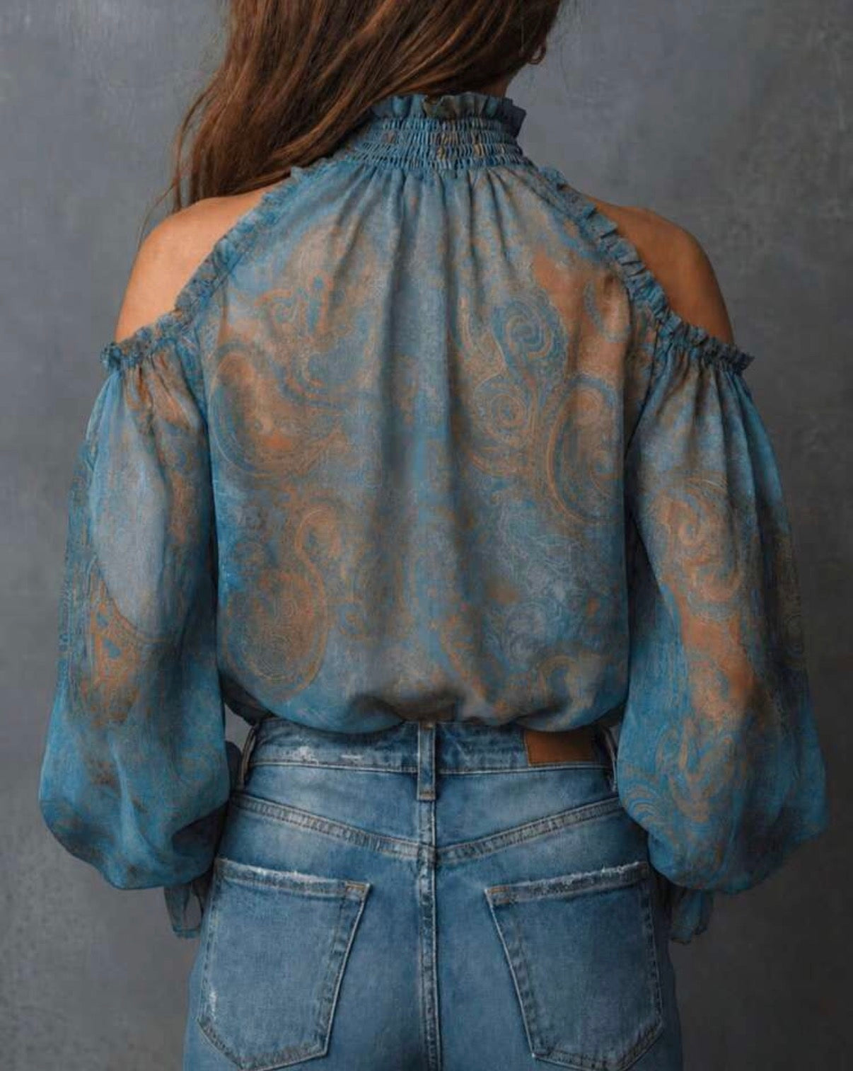 Open Shoulder Printed Vintage Floral Chiffon Blouse, Semi-Sheer Long Sleeve Top