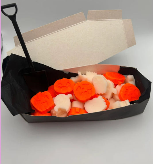 Halloween Coffin