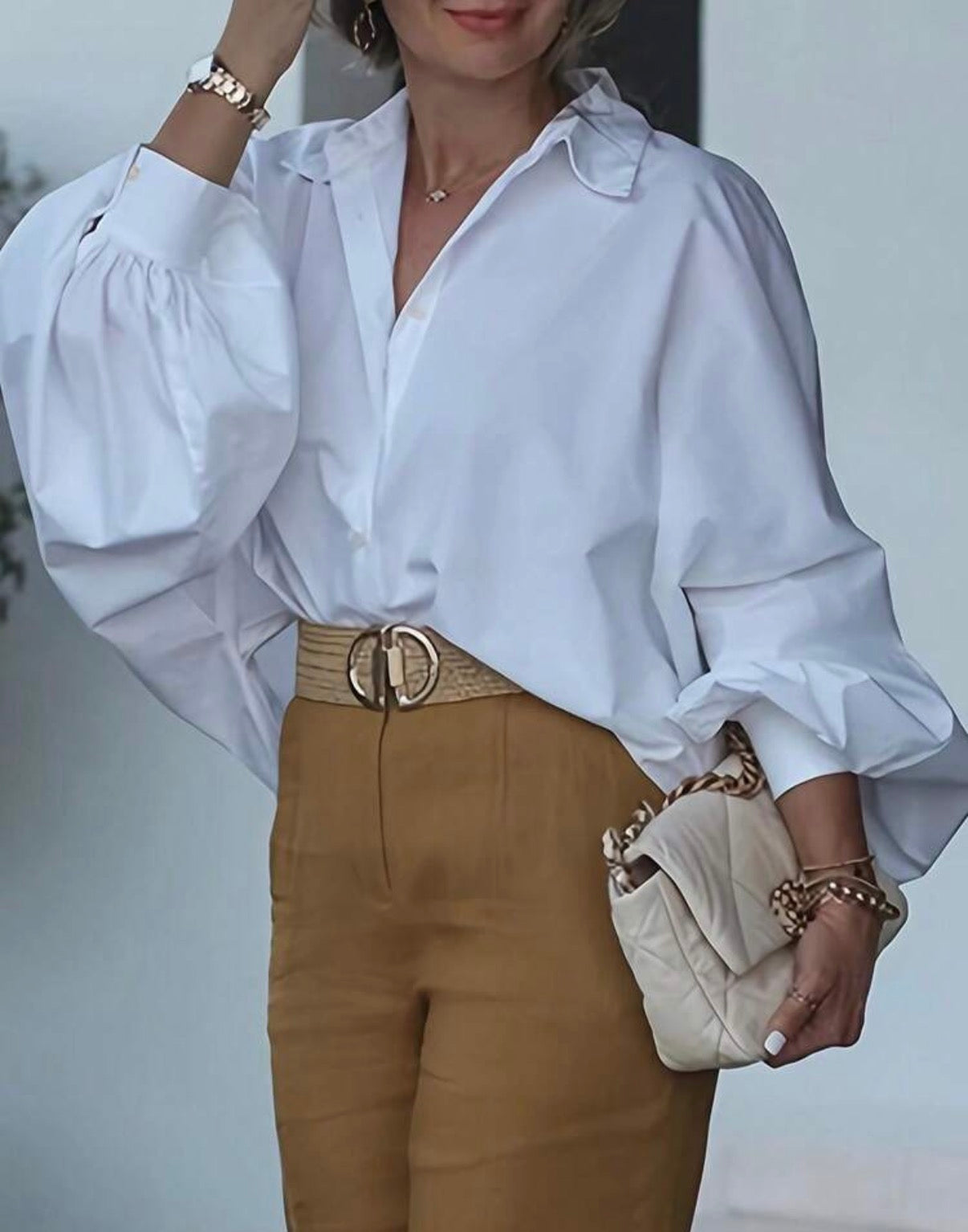 Woven Lantern Sleeve Long Sleeve Elegant