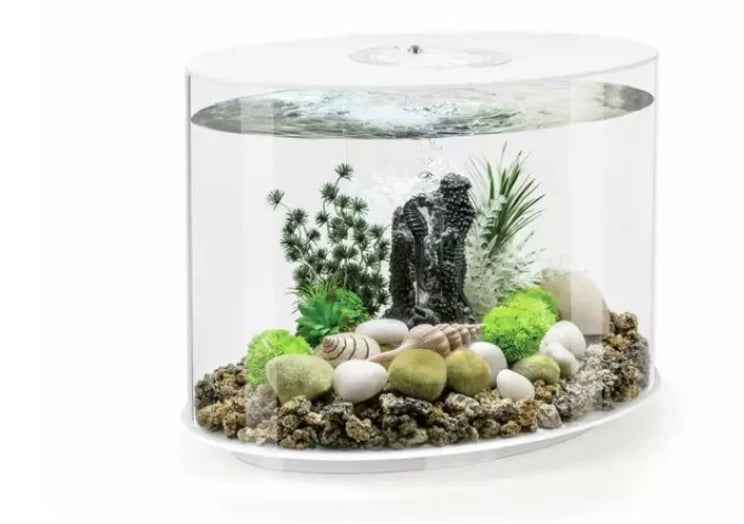 BiOrb Loop Aquarium With Multi-Colour Light - White