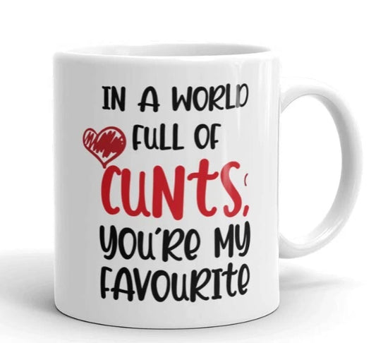 In A World Full Of C**ts You're My Favourite Funny Rude Office Friend Xmas Gift