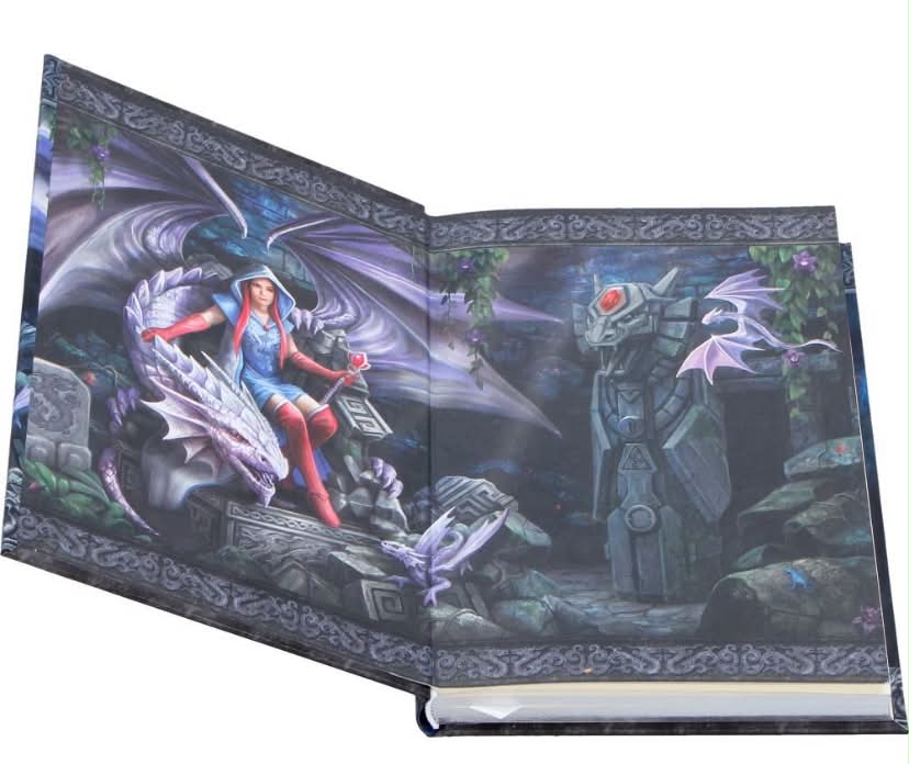Dragon Mage Journal (AS) 17cm