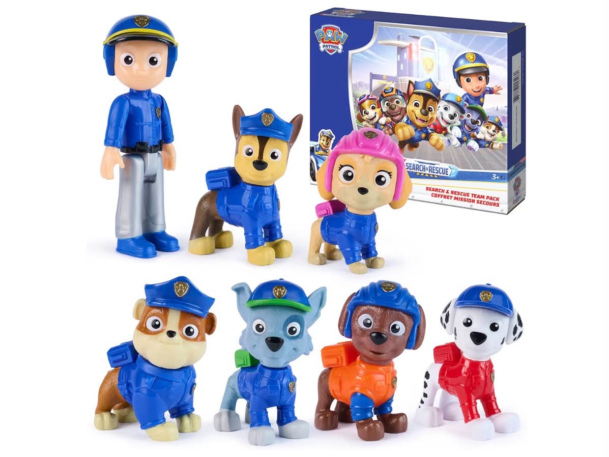 Paw Patrol Figure