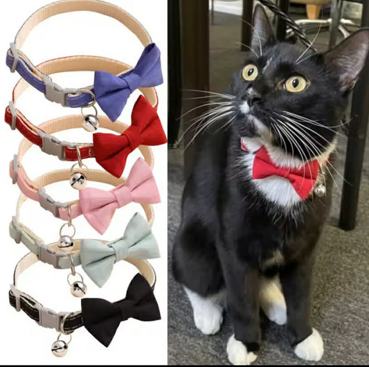 Bow Collar Solid Color Bowknot Puppy 

X1