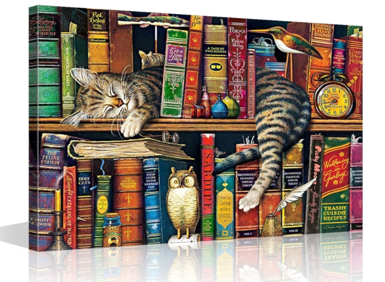 Sleeping Cat Abstract Pictures Bookshelf Artwork