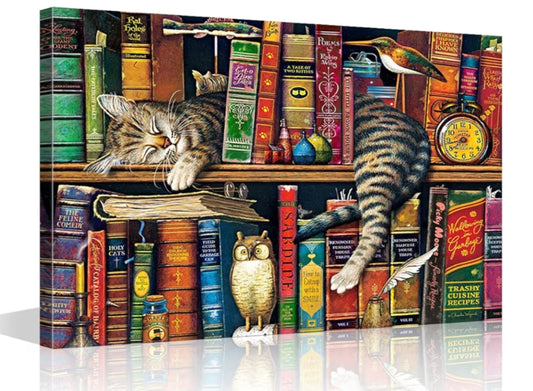 Sleeping Cat Abstract Pictures Bookshelf Artwork