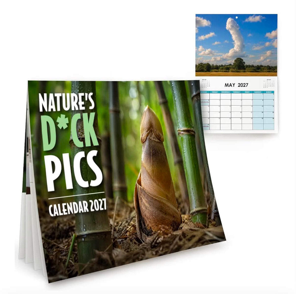 A4 Funny Calendar 2027 Funny Gifts