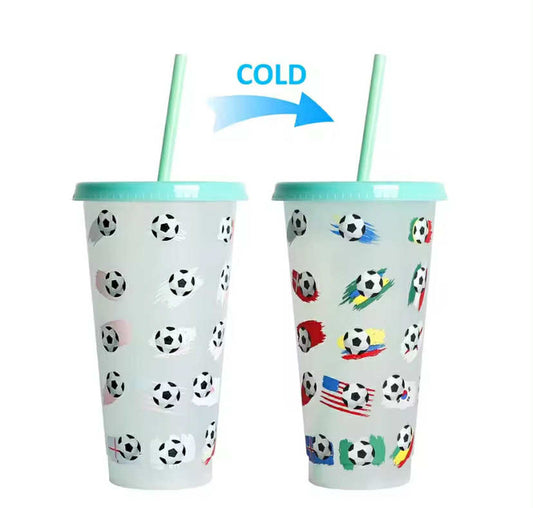 710ml Reusable with Straws