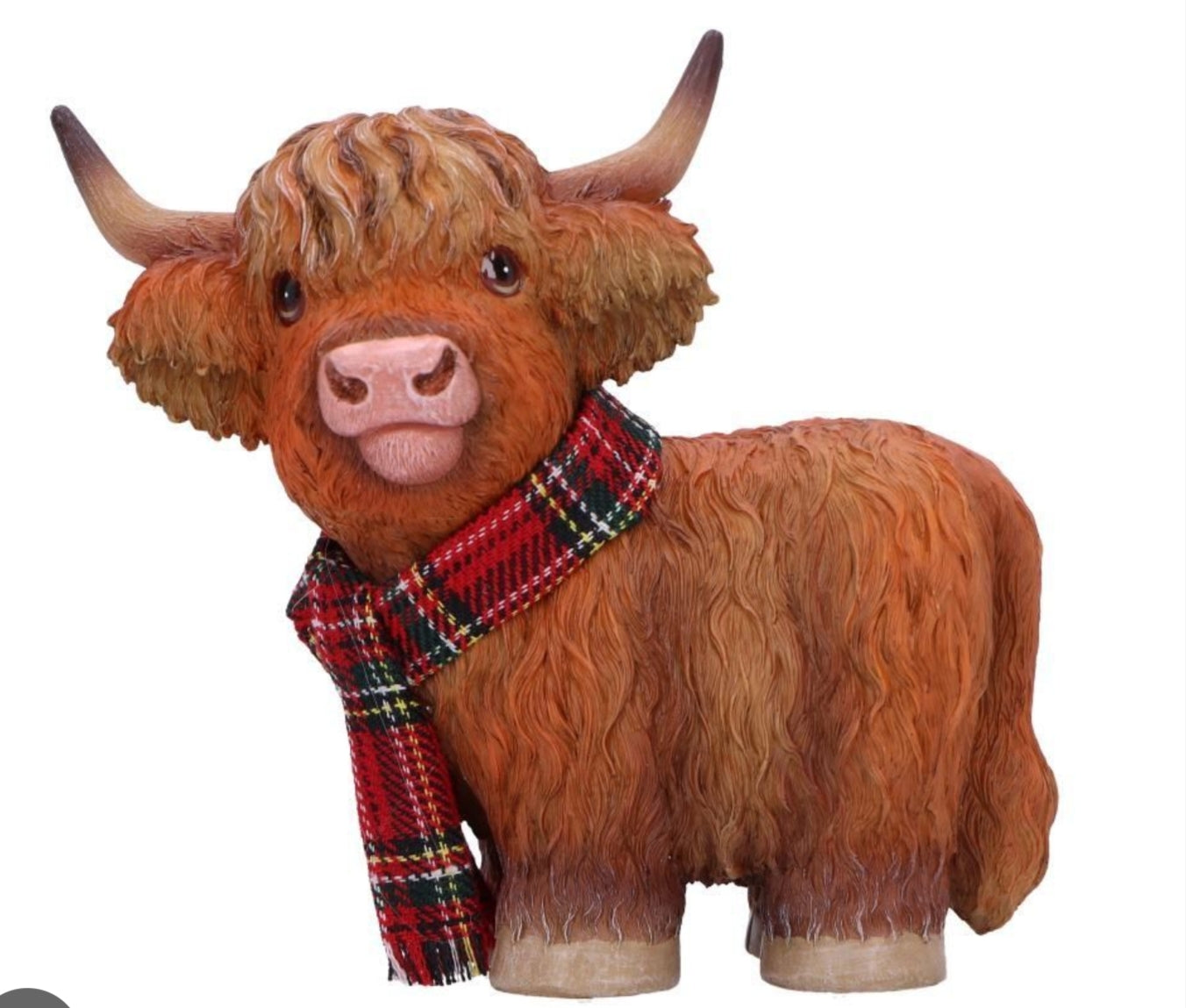 Highland Snug