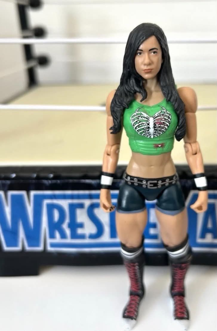 WWE AJ Lee Wrestling Figure Mattel Basic 53 Female WWF