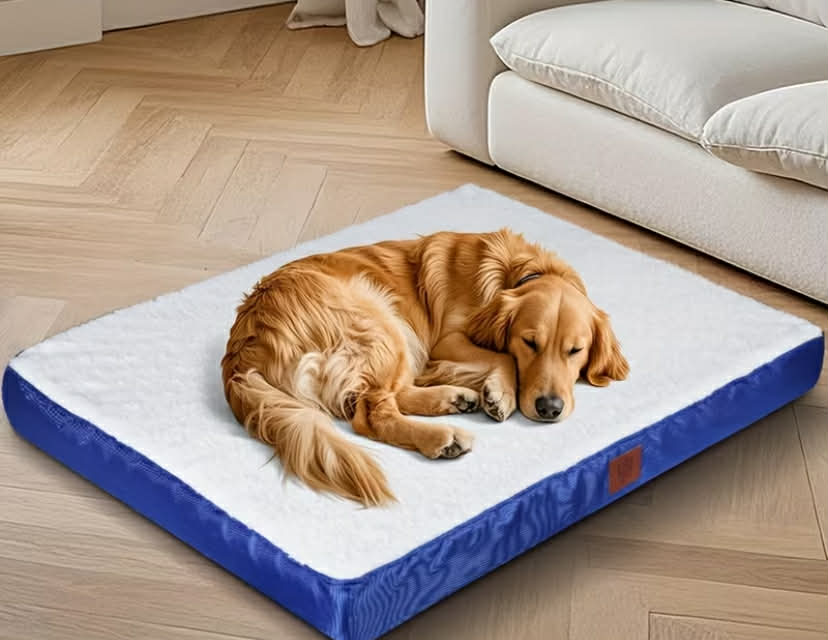Orthopedic Dog Beds for Large Dogs, Extra Large Dog Bed with Removable Washable Cover, Egg Crate Foam Pet Bed,