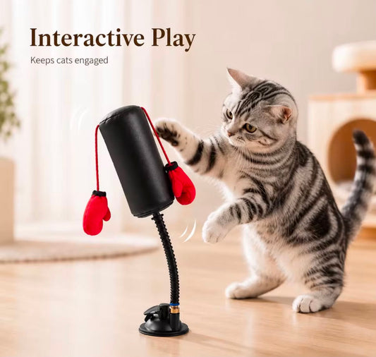 Cat Boxing Toy - Multi-functional Cat Stimulation Boxing Game for Self-Entertainment and Relaxation
