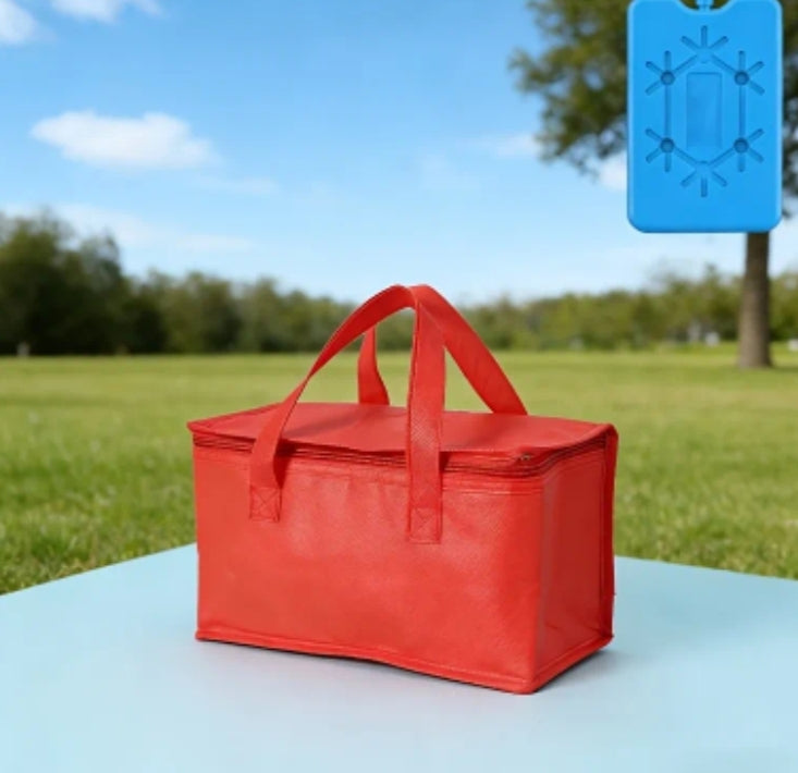 Insulated Refrigerated Bag+reusable Ice Box Set - Dual Cooling Effect, Outdoor Leak Proof Aluminum Foil, Suitable for Beaches, Picnics, Camping Trips (non Food Contact)