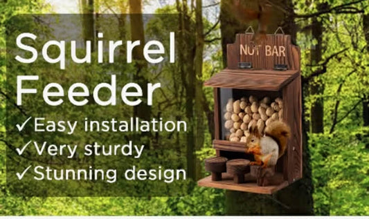 This Peanut Feeder for Squirrels Serves As a Squirrel House And Requires Assembly, Measuring 27.43X15.49X13.46 cm
