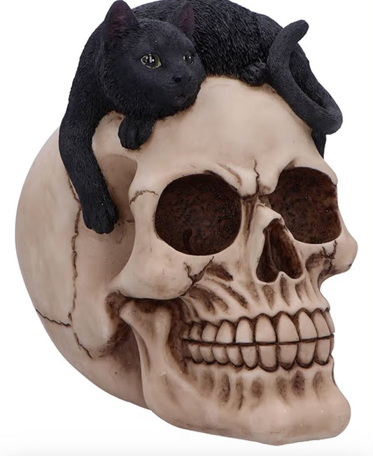 Forever Friend Skull with Black Cat Figurine 14.5cm