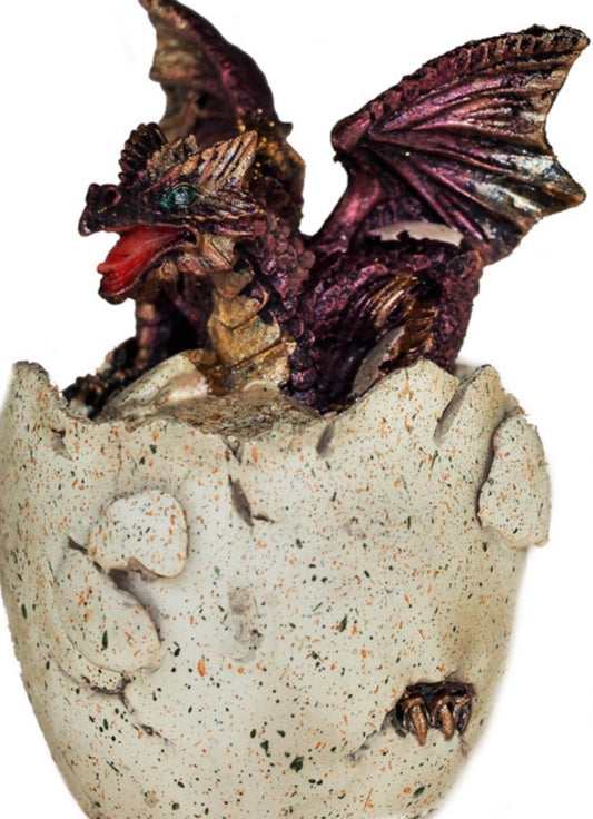 Fire Born Dragon Trinket Box