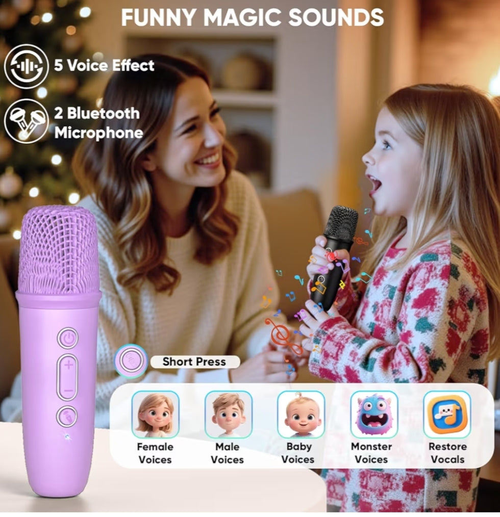 Mini Karaoke Machine 2 Microphones