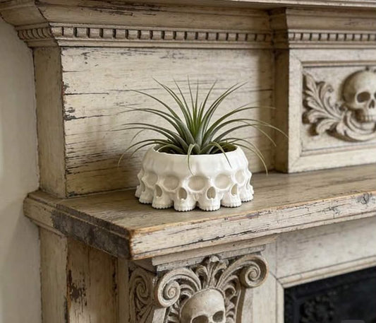 1 pc Gothic Style Skull Succulent Planter, Fireplace Decor Vase For Air Plants Or Seasonal Ornaments, Lightweight Resin Material