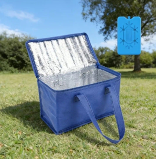 Insulated Refrigerated Bag+reusable Ice Box Set - Dual Cooling Effect, Outdoor Leak Proof Aluminum Foil, Suitable for Beaches, Picnics, Camping Trips (non Food Contact)