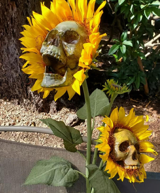Two Handmade Artificial Sunflower Skull Decorations - Durable Plastic