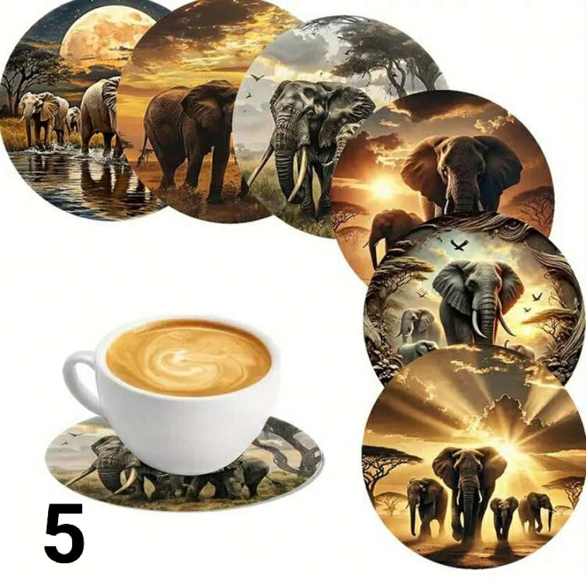 X6 coaster