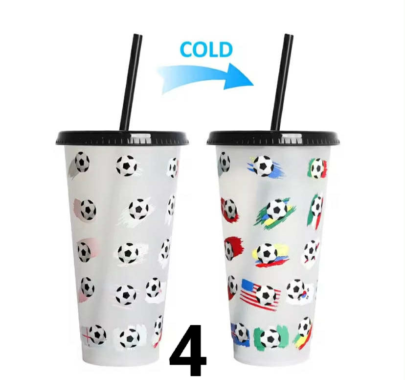 710ml Reusable with Straws