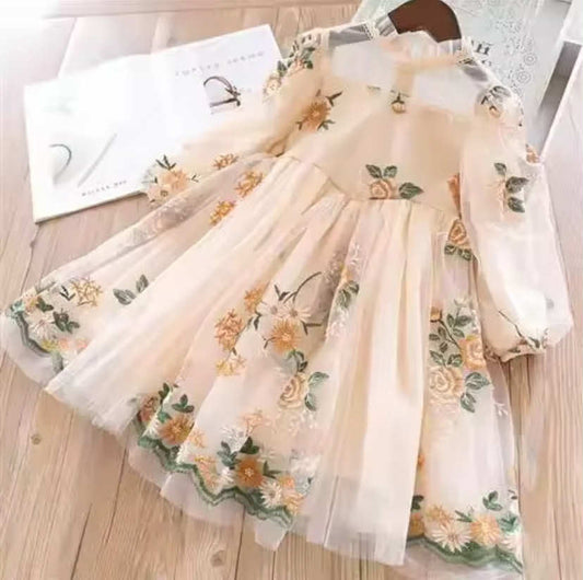 Elegant Mesh Girls Dress