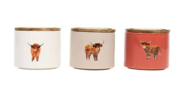 Set of 3 Highland Cow Stacking Canisters