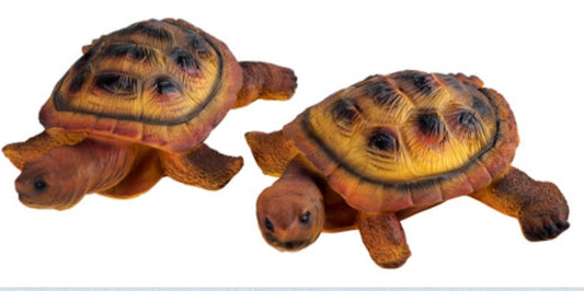 Tortoise Climbing Garden Wall Decoration 19cm - Design A - Set of 2